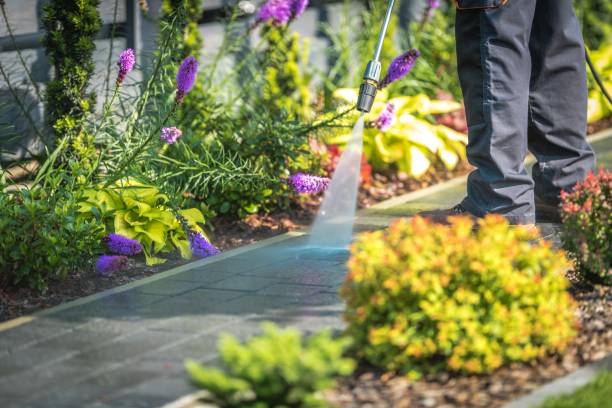 Trusted Breinigsville, PA  Pressure Washing Services Experts